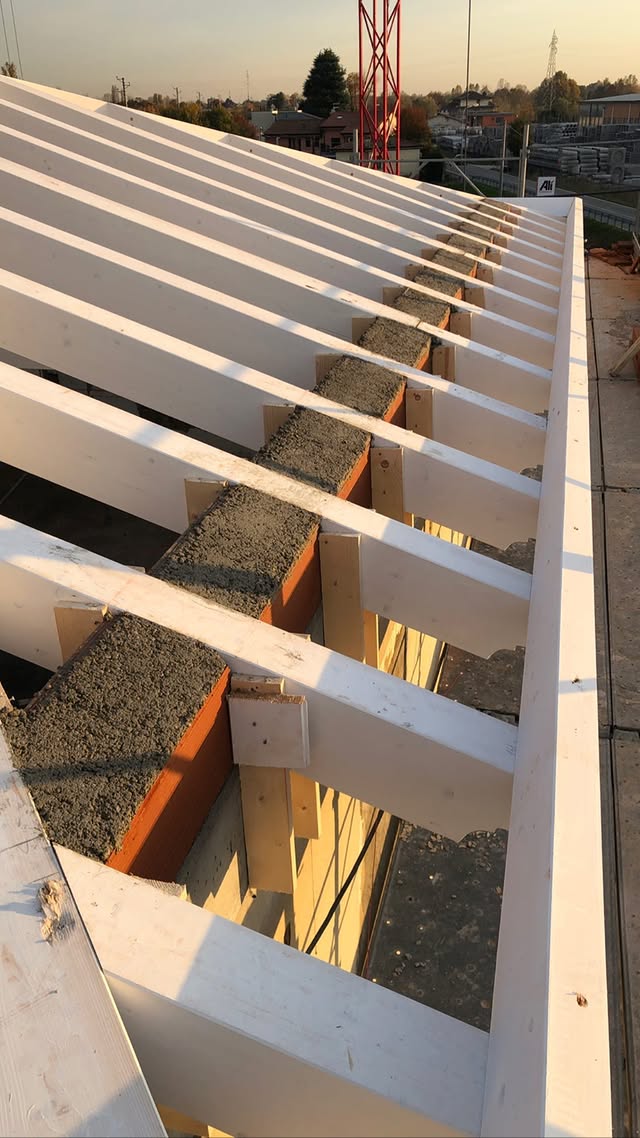 Struttura copertura Ion Tanase